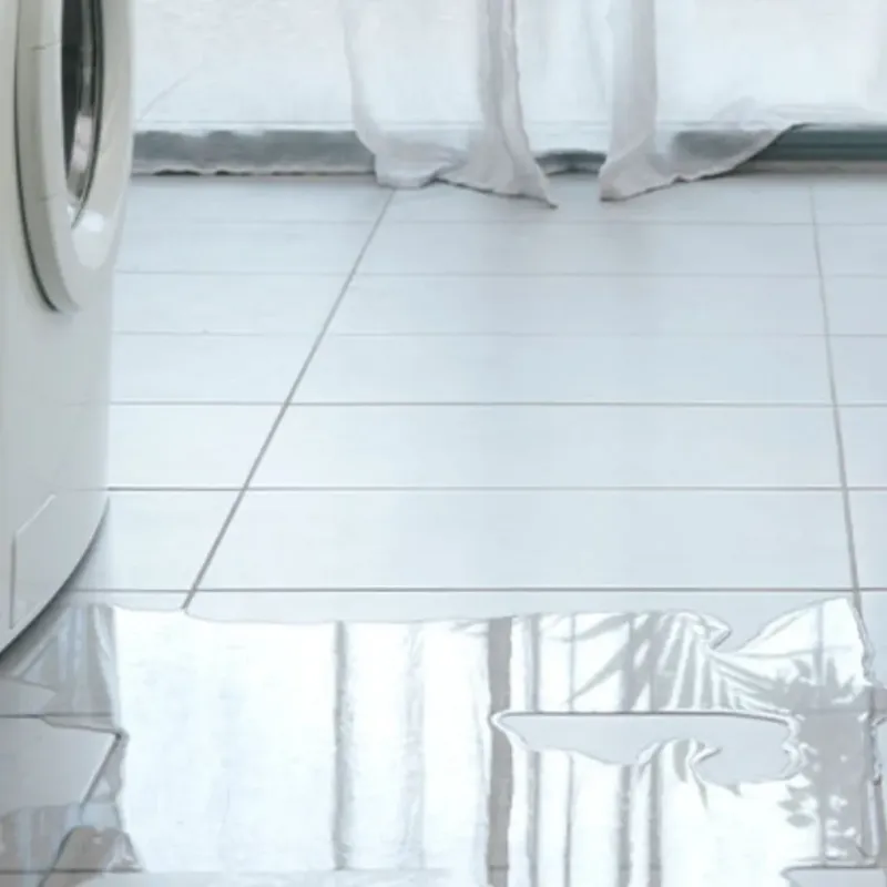 Appliance Leak Cleanup in Farmville, VA