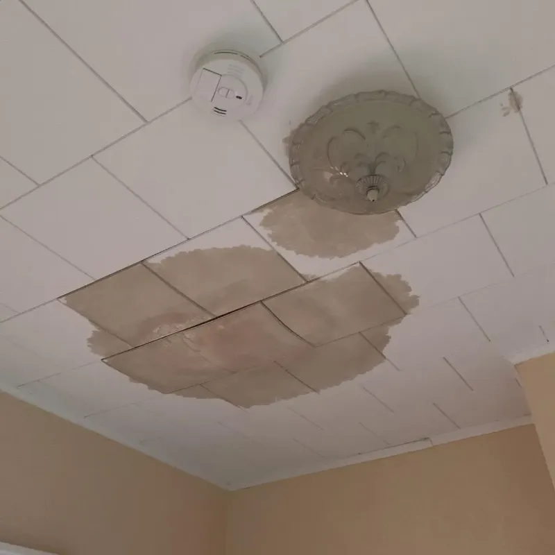 Ceiling Water Damage Repair in Farmville, VA