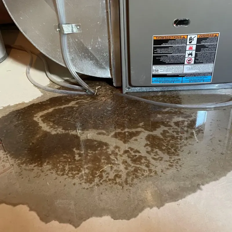 Pipe Burst and Leak Restoration in Farmville, VA