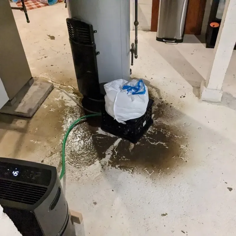 Sewage Backup Cleanup Service in Farmville, VA
